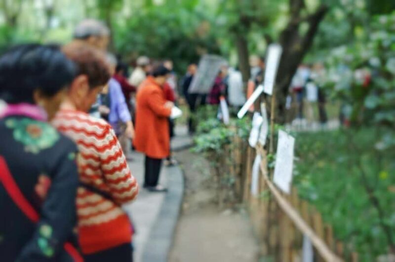 Chengdu: Panda Base, Snack, Tea, Folk Show, Kuanzhai Alley - The Sum Up