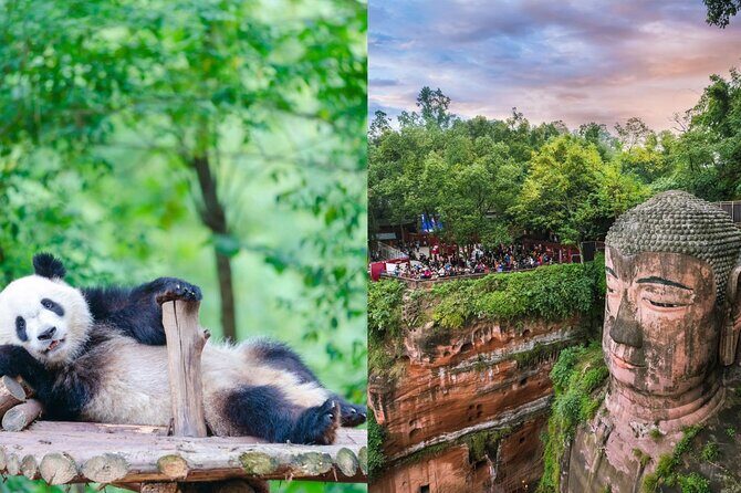 Chengdu Panda Base Ticket/Experiences from Chunxi Road - Key Points