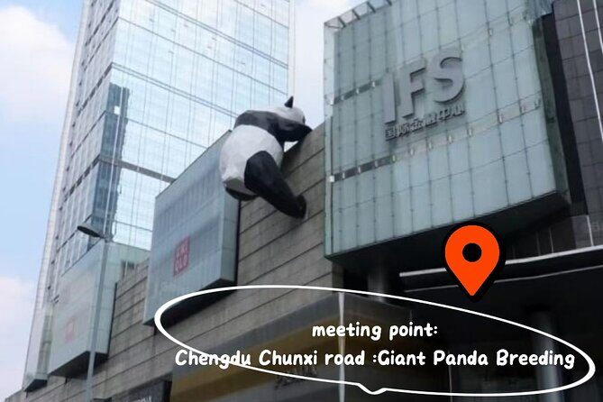 Chengdu Panda Base Ticket/Experiences from Chunxi Road - An in-depth look at the Chengdu Panda Base Tour