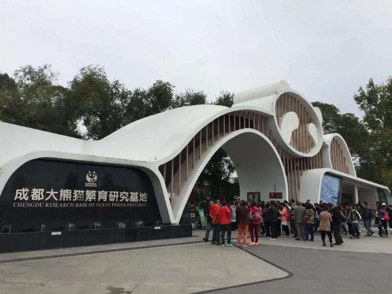 chengdu-panda-base-tour-ticket-only-option