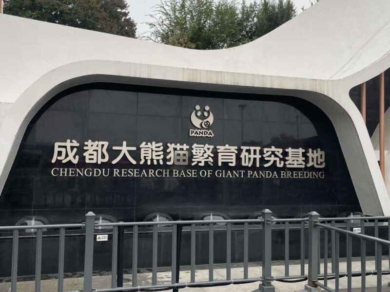 Chengdu: Panda Breeding Base Private Guided Tour - Key Points