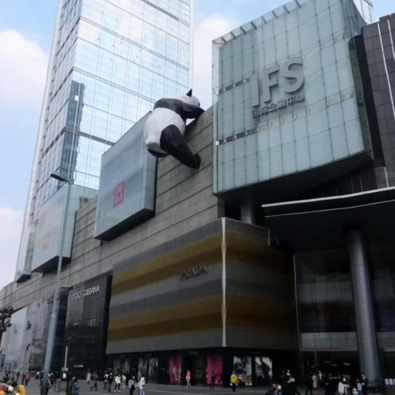 Chengdu: Panda Park & Optional Leshan Giant Buddha Tour - The Sum Up