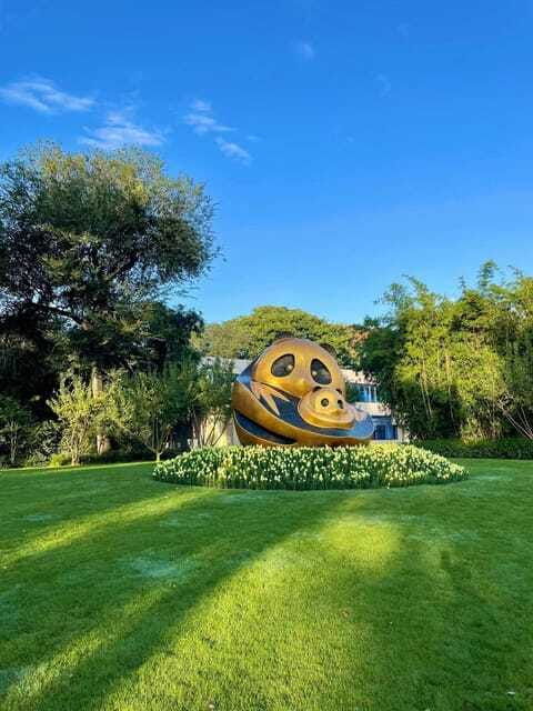 chengdu-panda-research-base-ticket-or-private-transfer-tour