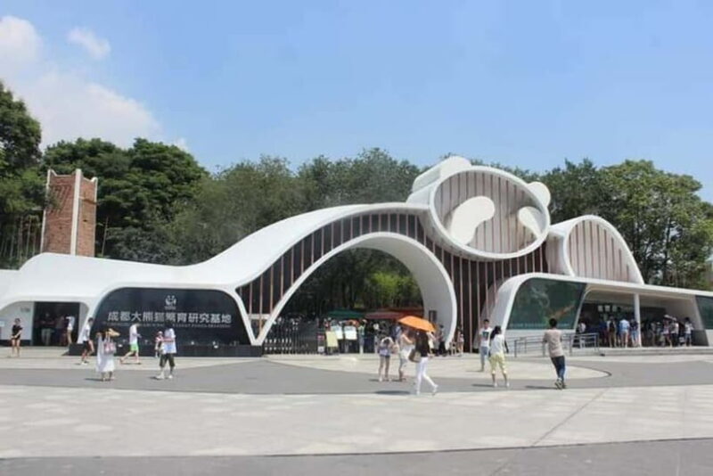 Chengdu: Panda Research Base Ticket or Volunteer Day Trip - Visiting the Chengdu Panda Base