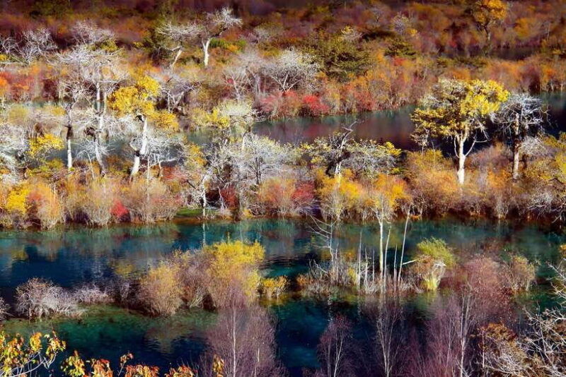 chengdu-private-2-day-huanglong-jiuzhaigou-tour-by-train