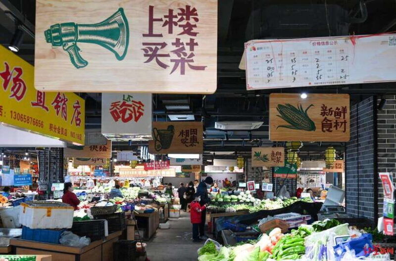 chengdu-private-panda-base-and-sichuan-cuisine-tour