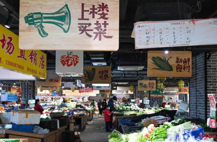 chengdu-private-panda-base-and-sichuan-cuisine-tour