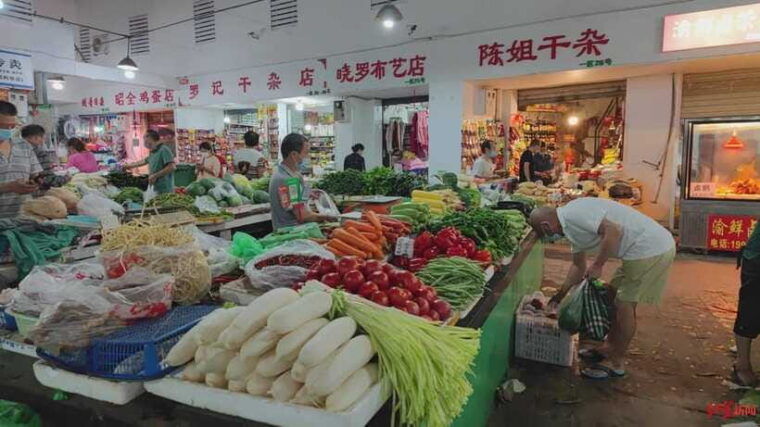 chengdu-private-panda-base-and-sichuan-cuisine-tour