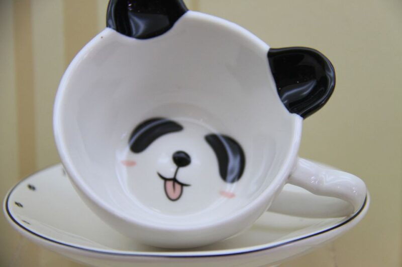 chengdu-private-panda-base-tour-with-80-pandas
