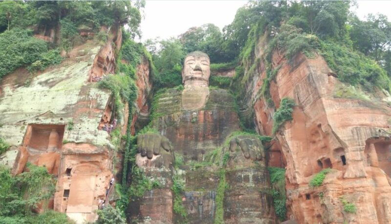 chengdu-private-tour-of-leshan-buddha-and-panda-base