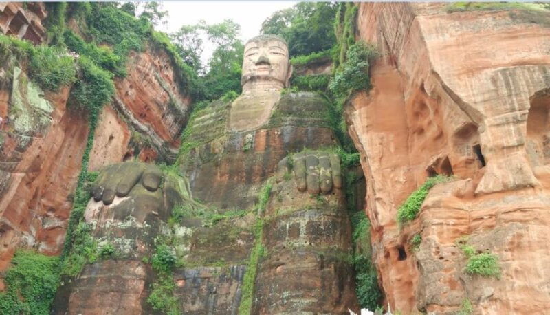 chengdu-private-tour-of-leshan-buddha-and-panda-base