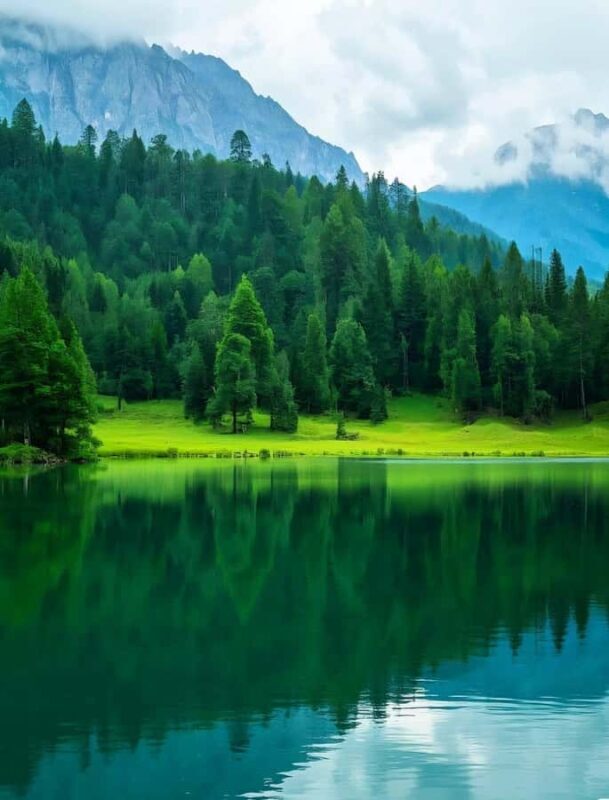 Chengdu, SichuanMount Qingcheng Entry Ticket with Passport - Practical Details: What to Know Before You Go