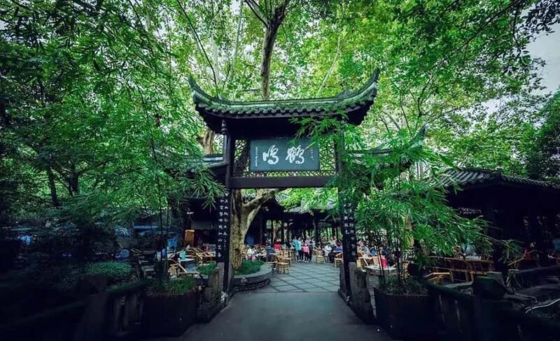 Chengdu: Tianfu Airport (TFU) Layover Half-Day Private Tour - The Sum Up: Who Is This Tour Best For?