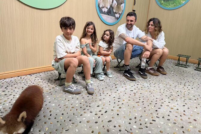 Chengdu: Volunteer Day Experience at Dujiangyan Panda base - The Human Touch: Guides and Reviews