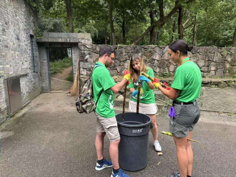 chengdu-volunteer-day-experience-at-dujiangyan-panda-base
