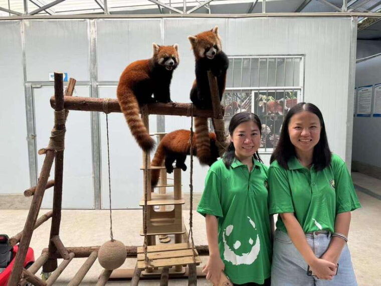 chengdu-volunteer-day-experience-at-dujiangyan-panda-base