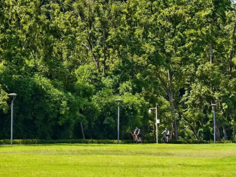 Chengdu: Wonder Ride Cycling Greenway - Why This Tour Works Well