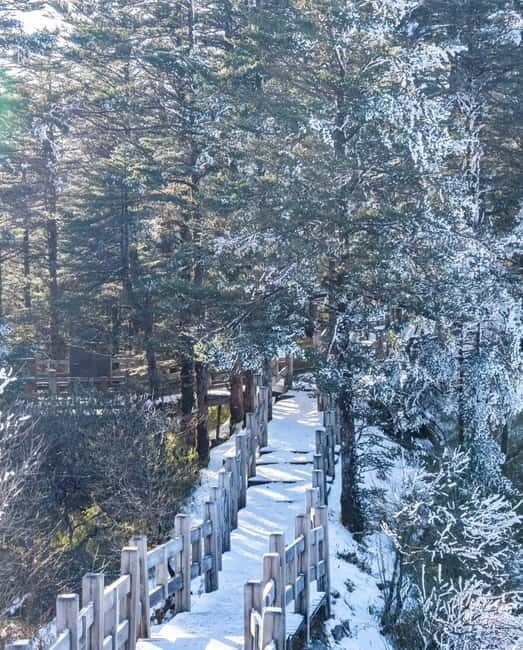 Chengdu: Xiling Snow Mountain Tour with Cable Car & Hiking - Who Would Love This Tour?