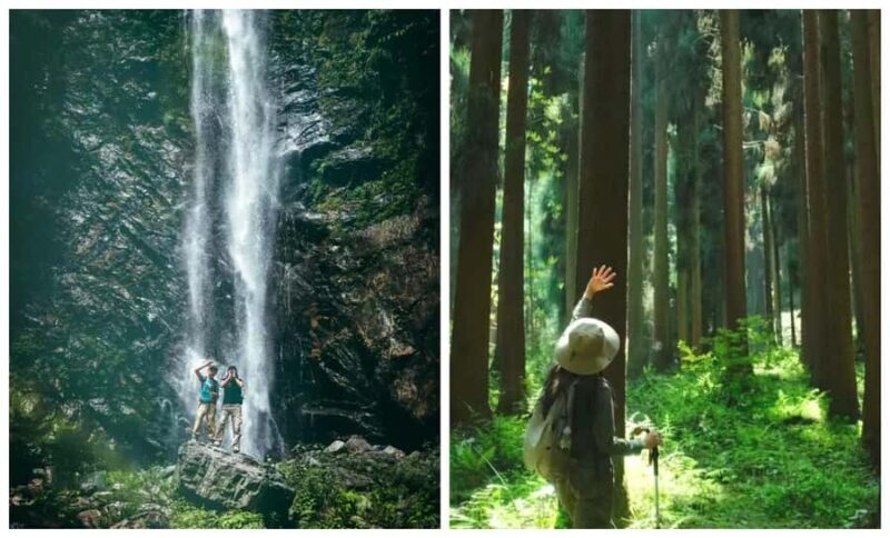 Chengdu: Zhongba Forest Private Hiking Tour with Guide - An Honest Look at a Forest Adventure Near Chengdu