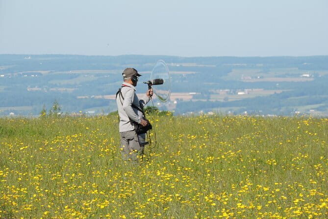 Chennai, Birding with Sound Approach, Spotting Scope, 2-3 hours - The Experience in Detail