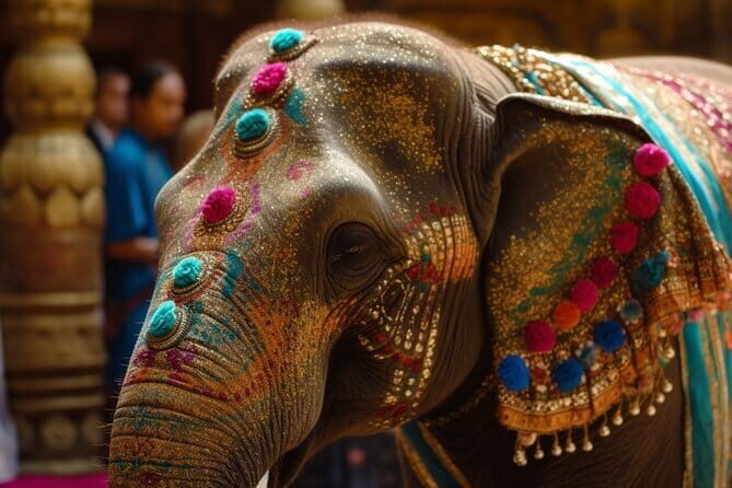 Chennai Private City and Airport Transfer - FAQ