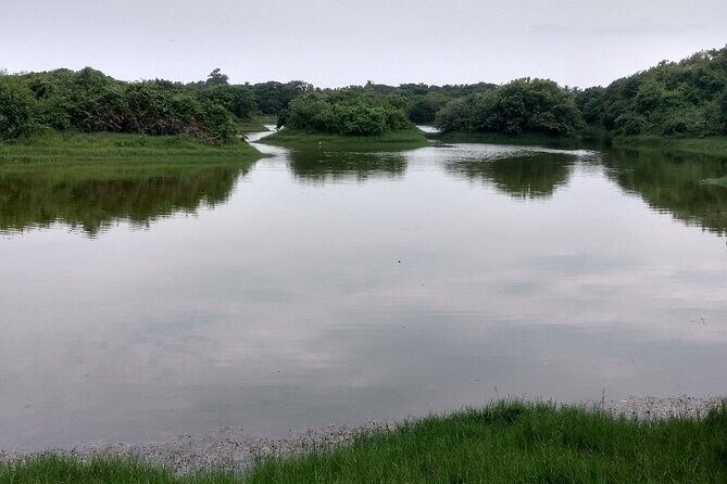 Chennai Tour to Sacred Hills and Eco Trails - FAQs