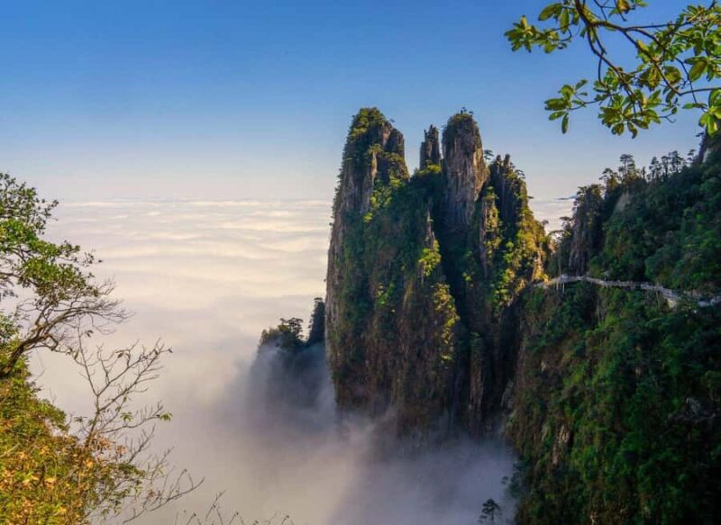 ChenZhou: Mangshan National Forest Park Day Trip - Who Should Consider This Tour?