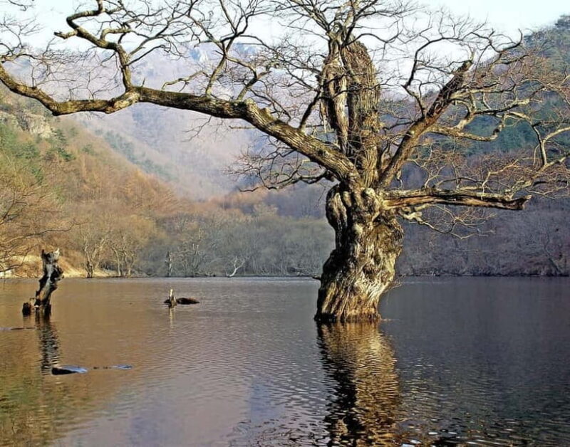 Cheongsong UNESCO GEO Park Hike From Andong - Frequently Asked Questions