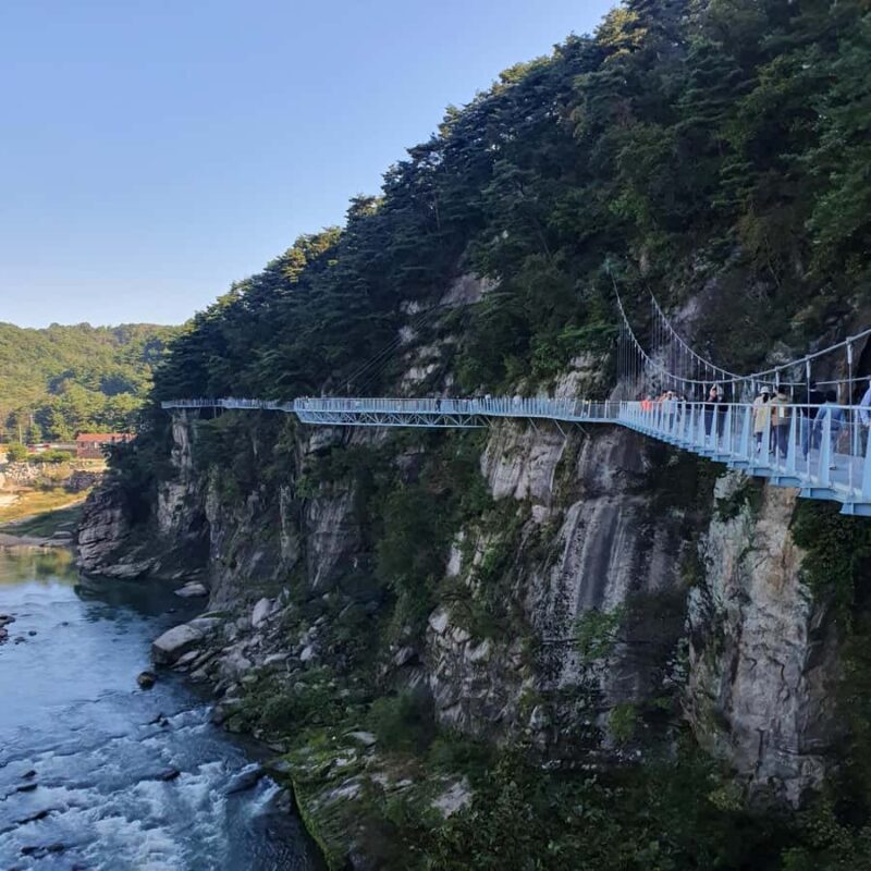 Cheorwon Hantangang GEO Park Skywalk, and Temple Day Tour - The Sum Up