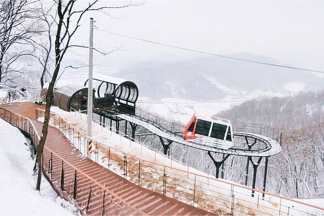 Cheorwon Winter Day Tour: DMZ Monorail, Hantan Canyon & Labor HQ - Whats Included and Whats Not