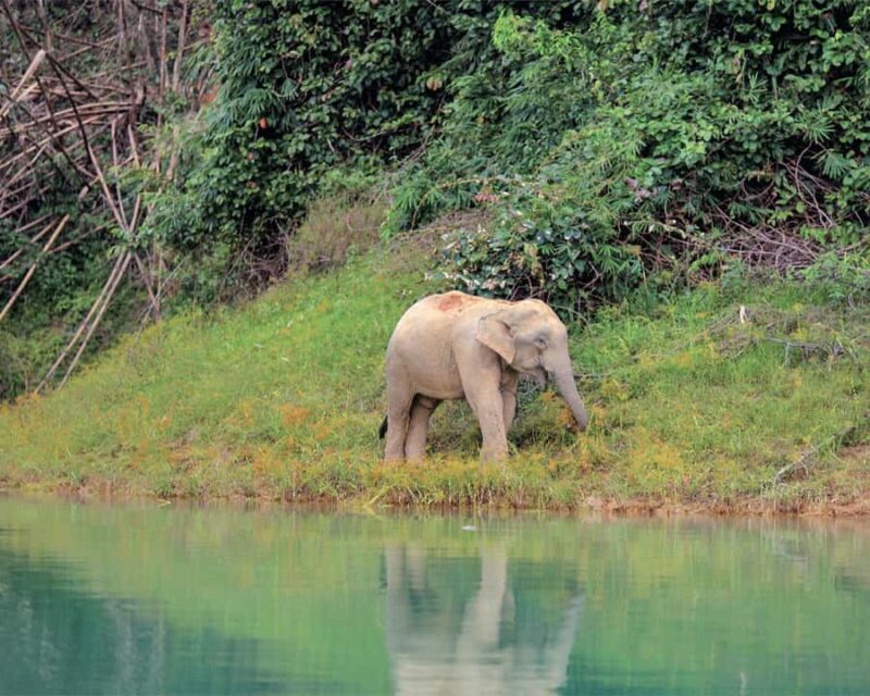 Cheow Larn Lake - Hiking - Cave Explore - Wildlife Safari - Practical Aspects and Value
