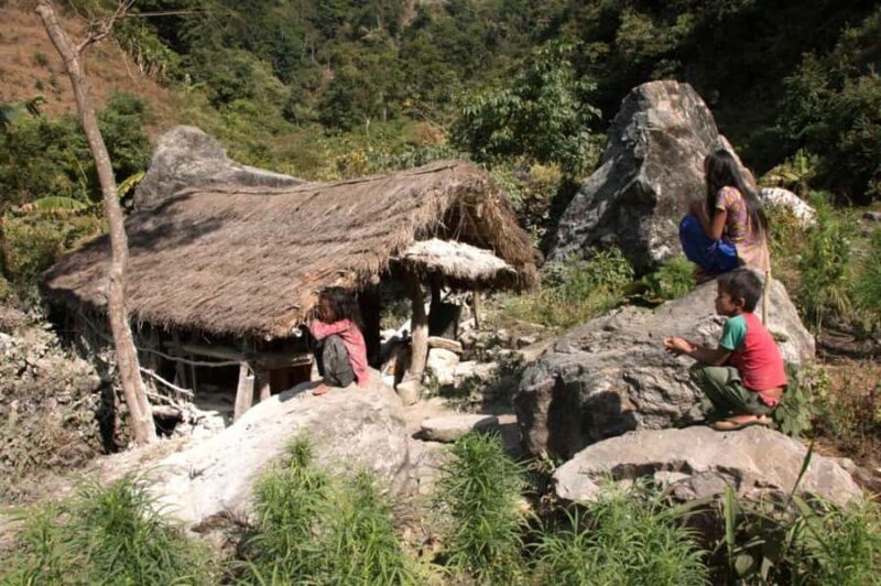 Chepang Hill Homestay Trek and Chitwan National Park Tour - Introduction