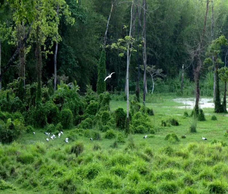 Chepang Hill Homestay Trek and Chitwan National Park Tour - What to Expect: Realities and Practicalities