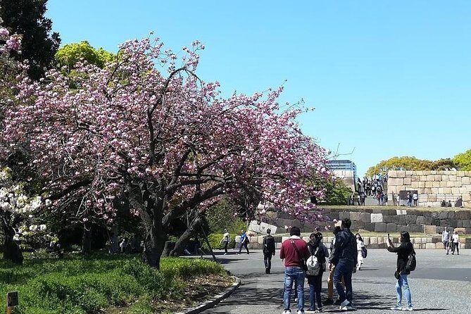 Cherry Blossom highlights, Asakusa, Ueno, Imperial Palace Garden - Who Will This Tour Suit Best?