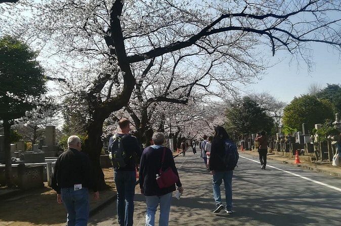 Cherry blossom highlights, Asakusa, Ueno, Yanaka - Final Thoughts