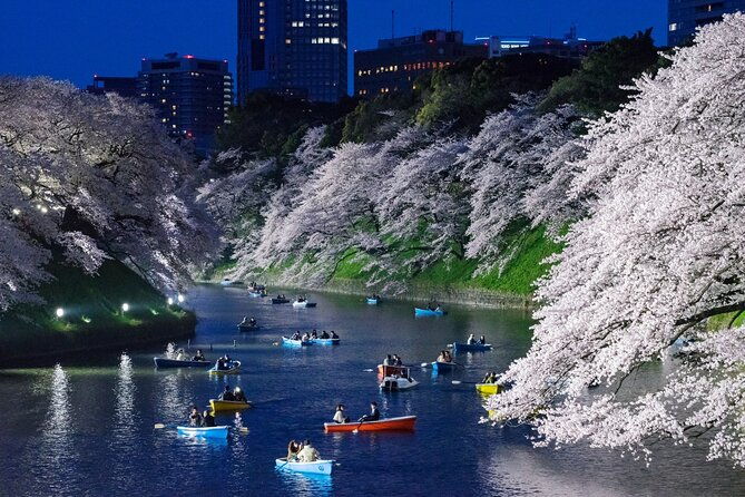 cherry-blossom-private-tour