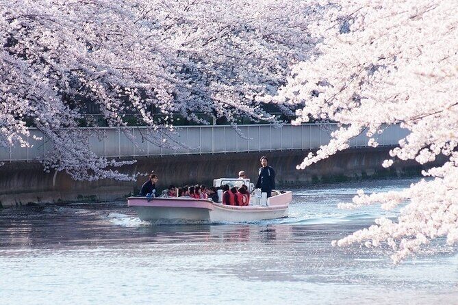 Cherry Blossom Sightseeing River Boat Experience - Key Points: