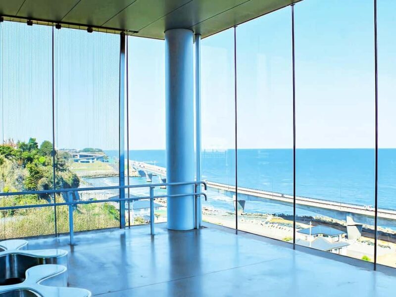 Cherry Blossom Tunnel & Sea: A Spring Day Tour of Ibaraki - Value & Overall Impression