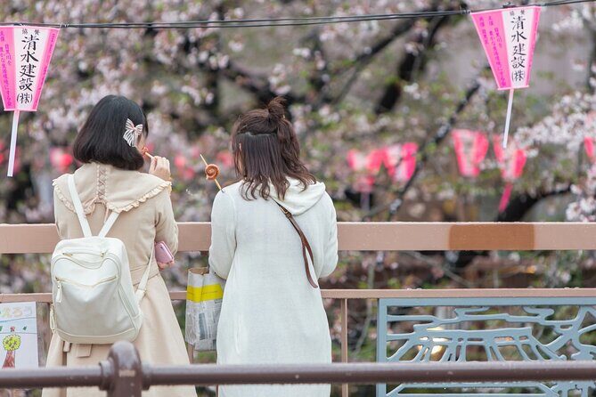Cherry Blossom Viewing Tour at Meguro River with Authentic meal - Discovering the Cherry Blossoms at Meguro River