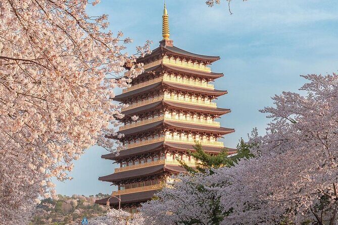 [Cherry blossom]Gyeongju Tour from SEOUL transfer to BUSAN - Frequently Asked Questions