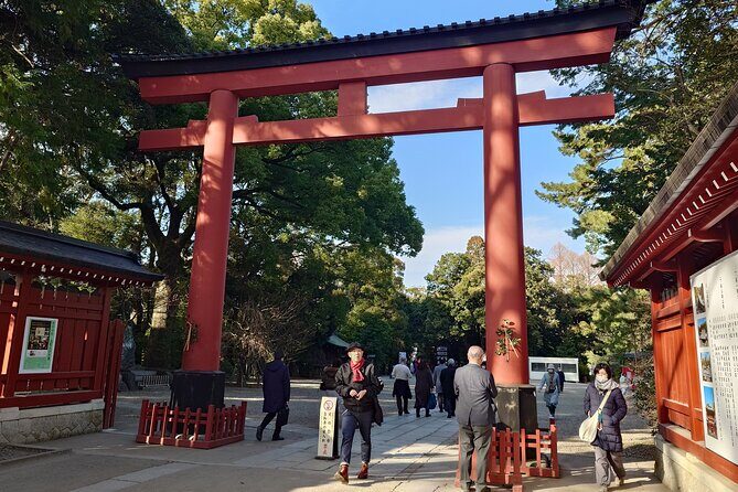 Cherry Blossoms and Strawberry Picking Tour from Tokyo Kawagoe - Authentic Experiences and Traveler Insights