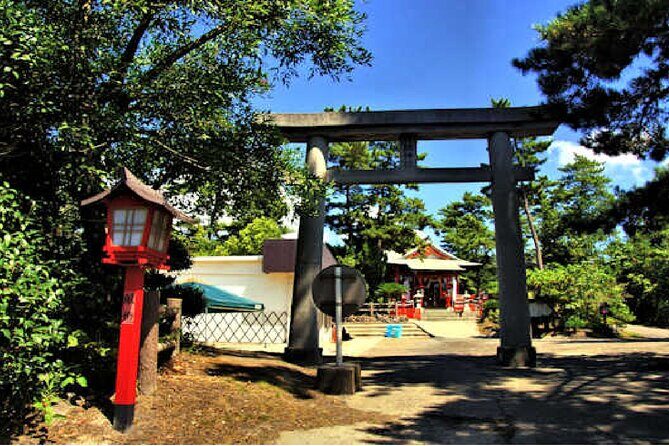 Cherry Blossoms in Kagoshima - Transportation and Group Experience