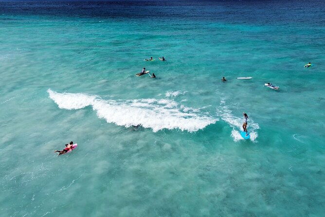 ches-surf-lesson-adventure
