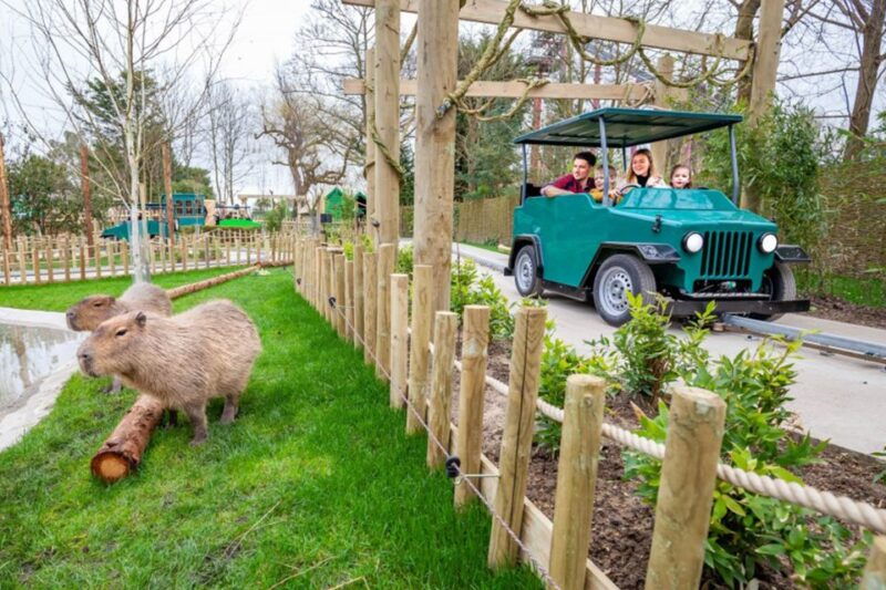 chessington-world-of-adventures-resort-entrance-ticket