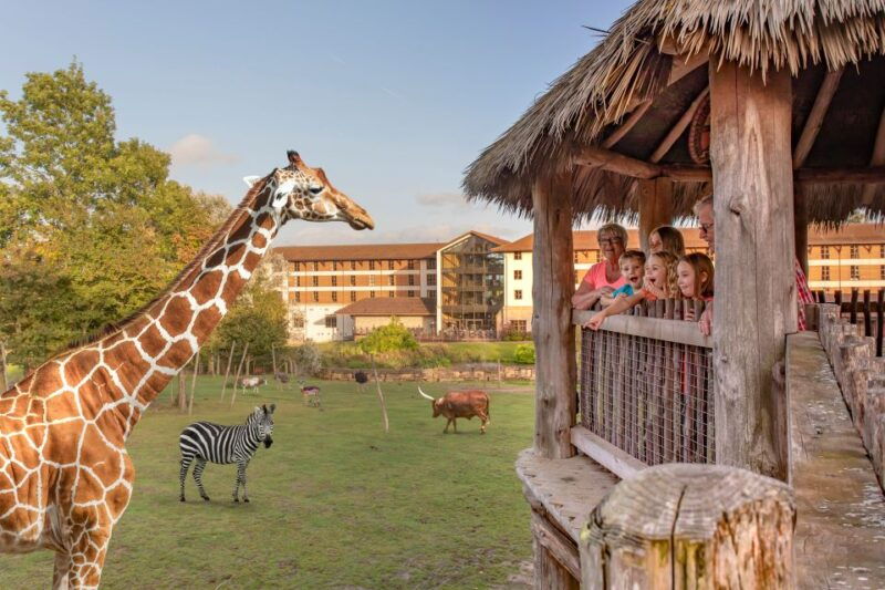 chessington-world-of-adventures-resort-entrance-ticket