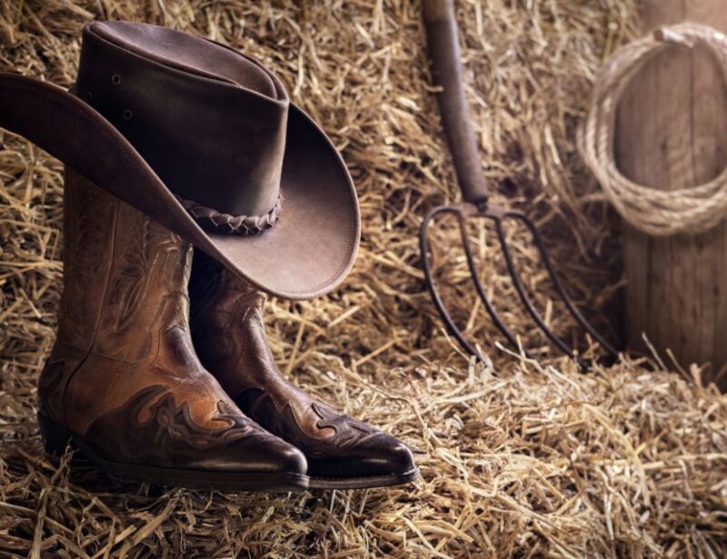 Cheyenne: Rodeo Ghosts Haunted Walking Tour - Who Should Consider This Tour?