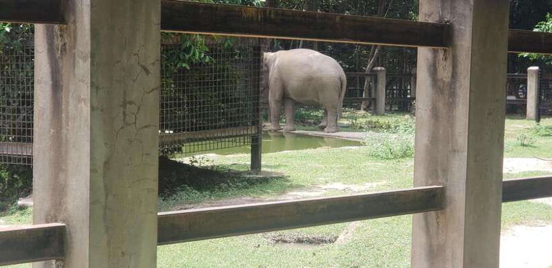 chi-so-mountain-_-ta-moa-zoo_-bati-temple-tour