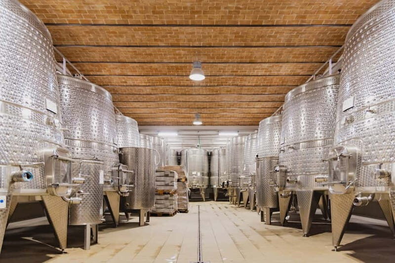 Chianciano Terme: Guided Winery Tour & Wine Tasting - A Closer Look at the Winery Tour Experience