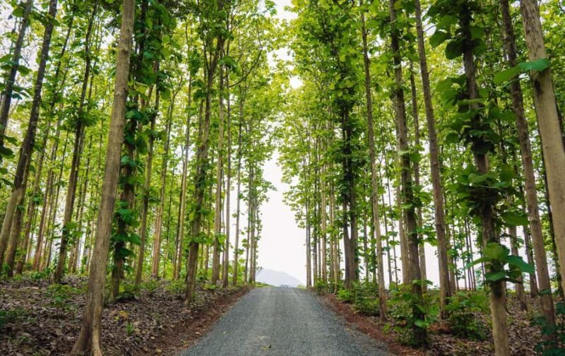 Chiang Dao 2-Day Tour: Cave, Cafe, Lodge Stay & Waterfalls - An Introduction to the Chiang Dao 2-Day Tour
