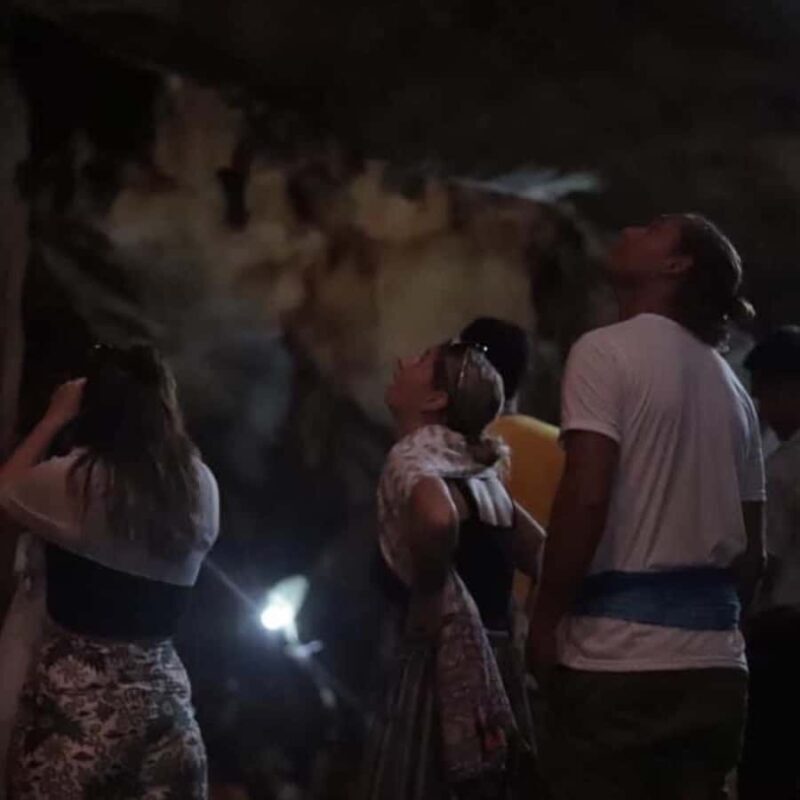 Chiang Dao Cave, Sticky Waterfall, Baan Den Temple Private - Who Should Consider This Tour?